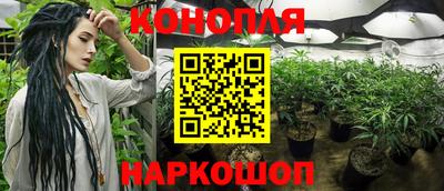 гашик Мариинск