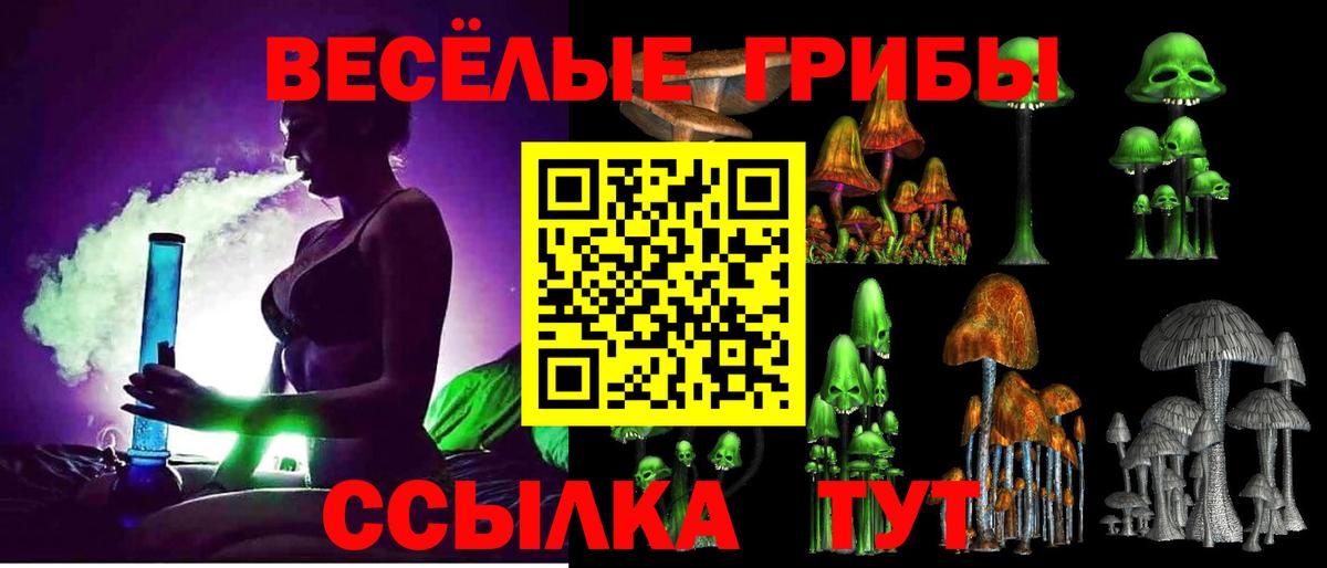 Дзержинск  Галлюциногенные грибы GOLDEN TEACHER  Вход с VPN 